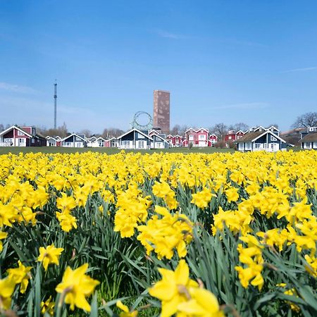 Strandpark Sierksdorf H092 "Ostsehblick" エクステリア 写真