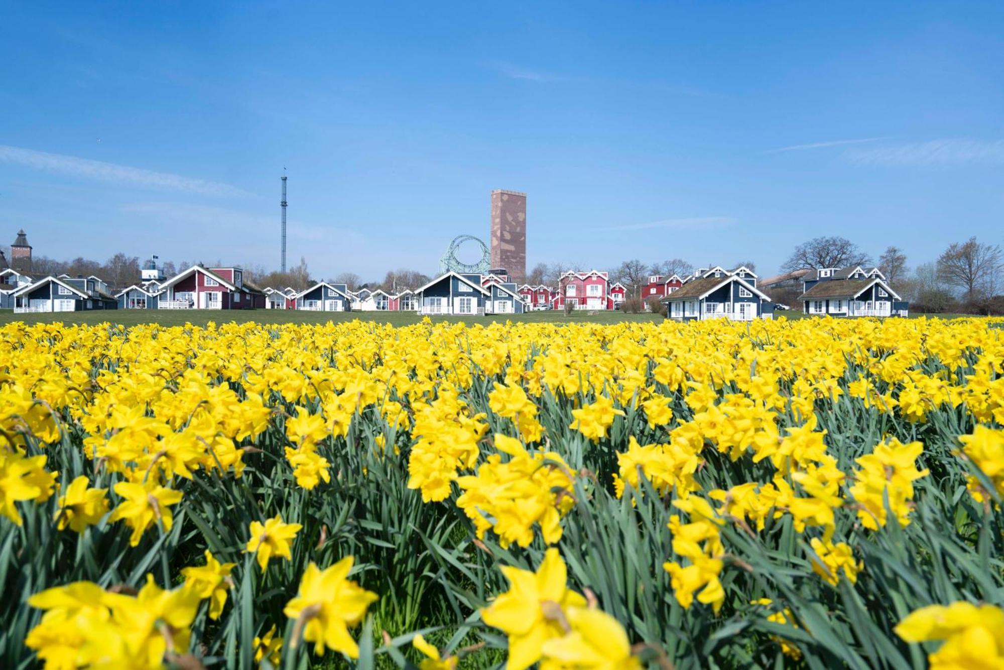 Strandpark Sierksdorf H092 "Ostsehblick" エクステリア 写真